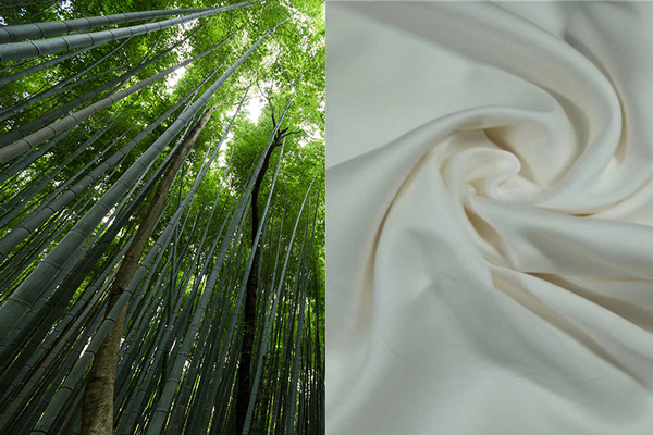 Pianta e tessuto in bamboo